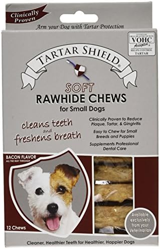 bacon flavored dog toothpaste