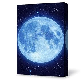 Canvas Wall Art for Living Room,Bedroom Home Artwork Paintings Beautiful Moonlight Ready to Hang - 12x18 inches