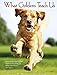 What Goldens Teach Us 2019 Engagement Calendar (Dog Breed Calendar) by