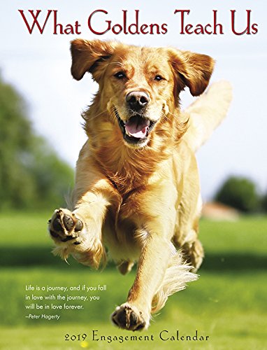 What Goldens Teach Us 2019 Engagement Calendar (Dog Breed Calendar) by