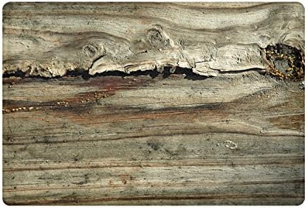 FANNEE Rustic Old Barn Wood Door Mats Indoor Bathroom Kitchen Decor Rug Mat Welcome Doormat - 23.6"(L) x 15.7"(W)