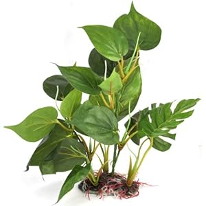 DIGIFLEX-Artificial-Plant-for-Fish-Tank--Fake-Plant--Fish-Tank-Decorations--Fishtank-Ornament-Green-Leaves--20cm--Home-Aquarium--Natural-Realistic-Design DIGIFLEX Artificial Plant for Fish Tank – Fake Decorations – Fishtank Ornament Green Leaves – 20cm – Home Aquarium – One…