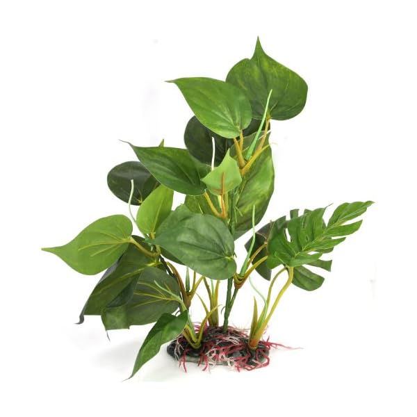 DIGIFLEX-Artificial-Plant-for-Fish-Tank--Fake-Plant--Fish-Tank-Decorations--Fishtank-Ornament-Green-Leaves--20cm--Home-Aquarium--Natural-Realistic-Design DIGIFLEX Artificial Plant for Fish Tank – Fake Decorations – Fishtank Ornament Green Leaves – 20cm – Home Aquarium – One…