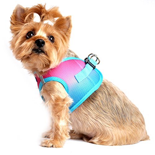 American River Dog Harness Ombre Collection - Sugar Plum XXL