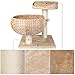 Pedy Cat Tree with Scratching Post, Sisal-Covered Climbing Cat Tower, Cat Activity Tree with Paper Rope and Cat Tree House with Perch, 2 Story Cat Condo Great for Kitten