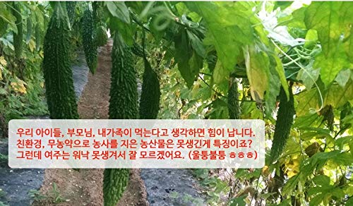 Dried Bitter Melon, Bitter Gourd, 말린 여주 100g (3.5oz) for Bitter Melon Tea, No Agricultural Chemicals, from South Korea 100%