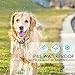 Bark Collar, Anti Barking Training Collar for Dog,10 Adjustable Static Electric Shock & Vibration, 9 Level Sensitivity for Small, Medium, Large Dogs,Waterproof, Rechargeablethumb 3