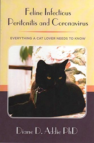 Feline Infectious Peritonitis and Coronavirus: Everything a cat lover needs to know