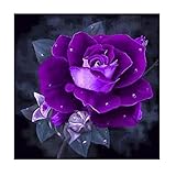 5D Diamond Painting, Staron Rose Diamond Embroidery Painting Cross Stitch Kit 5D Diamond Painting Embroidery Set DIY Art Craft Home Decor (Rose❤️)