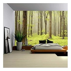 Green Misty Forest Mural Wall Mural