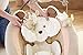 Fisher-Price Deluxe Bouncer: My Little Snugapuppy