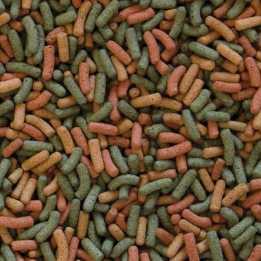 BIOREPT W. 1000ml / 300g, floating sticks for aquatic and semi-aquatic turtles - Image 3