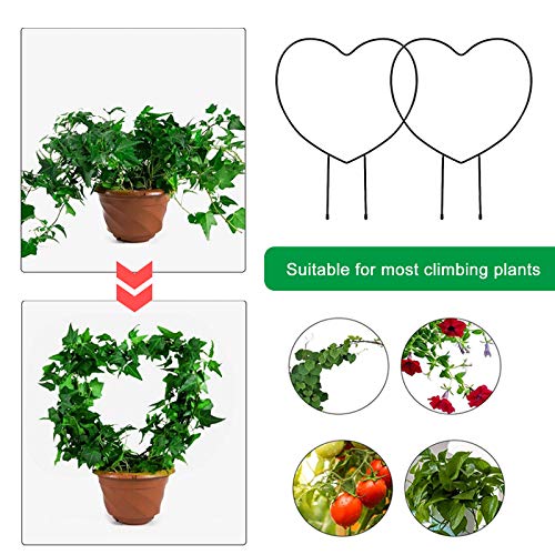 Yojoloin Rankhilfe für Pflanzen,Rankhilfe Garten Pflanzenstütze Blumenstütze Rankgitter Metall,Rankhilfe Pflanzenhalter… – Bild 3