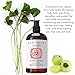 Laritelle Organic Conditioner 16 oz | Fortifying, Strengthening & Rejuvenating | Prevents Hair Shedding, Promotes New Hair Growth | Ayurvedic Herbs, Lavender, Ginger, Rosemary, Patchouli & Cloves