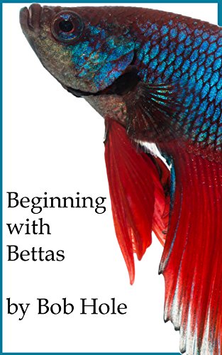 Beginning with Bettas