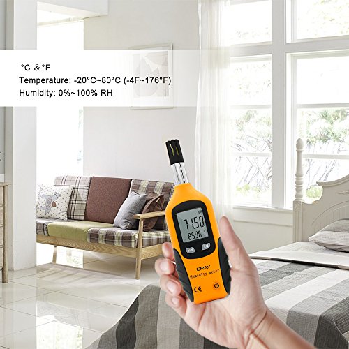 Eray Temperature and Humidity Meter Thermometer Hygrometer with Dew Point and Wet Bulb, Battery Included