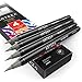 Arteza Real Brush Pens, A174 Dolphin Gray, Pack of 4, Watercolor Pens with Nylon Brush Tips, Art Supplies for Dry-Brush Painting, Sketching, Coloring & Calligraphy