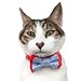 Blueberry Pet Gift Box with Pack of 2 Handmade Dog Cat Bow Tie, Polka Dots Designer Bowtie Set, 4
