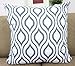 Howarmer Canvas Cotton Cushion Cover, Geometric Pattern, 18 x 18-Inch, Set of 4