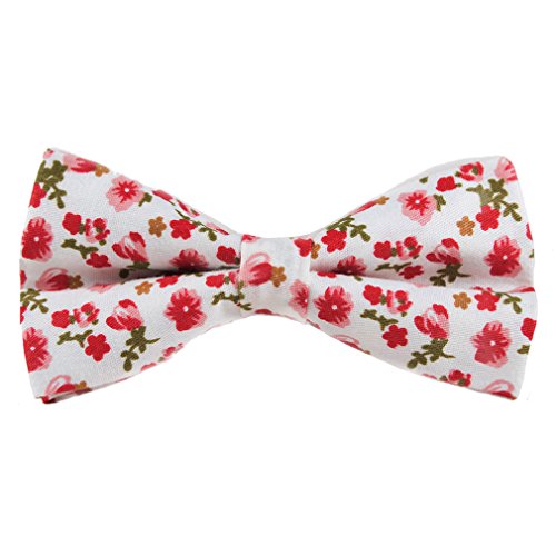 Levao Men's Cotton Floral Printing Bow Tie Mix 4-3 140,143,145,147