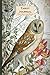 Tarot Journal - Daily One Card Draw: Owl - Beautifully illustrated 190 pages 6x9 inch notebook to re by Strategic Publications, Helene Malmsio