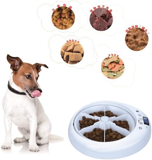 Amazon Com Yxian Automatic Pet Feeder With Ice Pack Small Pet