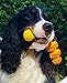 Squeaky Sensory Snake Dog Toy Small Natural Rubber (Latex) Chemical-Free Complies with Same Safetystandards as Children’s Toys Soft Unstuffed
