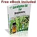 UpNature Eucalyptus Essential Oil – 100% Pure Natural Eucalyptus Oil, 4oz
