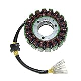 ElectroSport ESG013 Stator Kawasaki KZ750