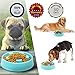 Slow Feeder Dog Bowl - Interactive Fun Slow Eating Bowl for Pets Health Bloat Stop Anti-Choking, Non-Toxic. Eco-Friendly Material (Large)
