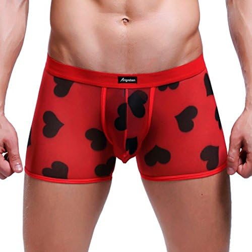 AmyDong Fashion Mens Net Yarn Breathable Printing Flat Sexy Underwear Men's Printed Briefs