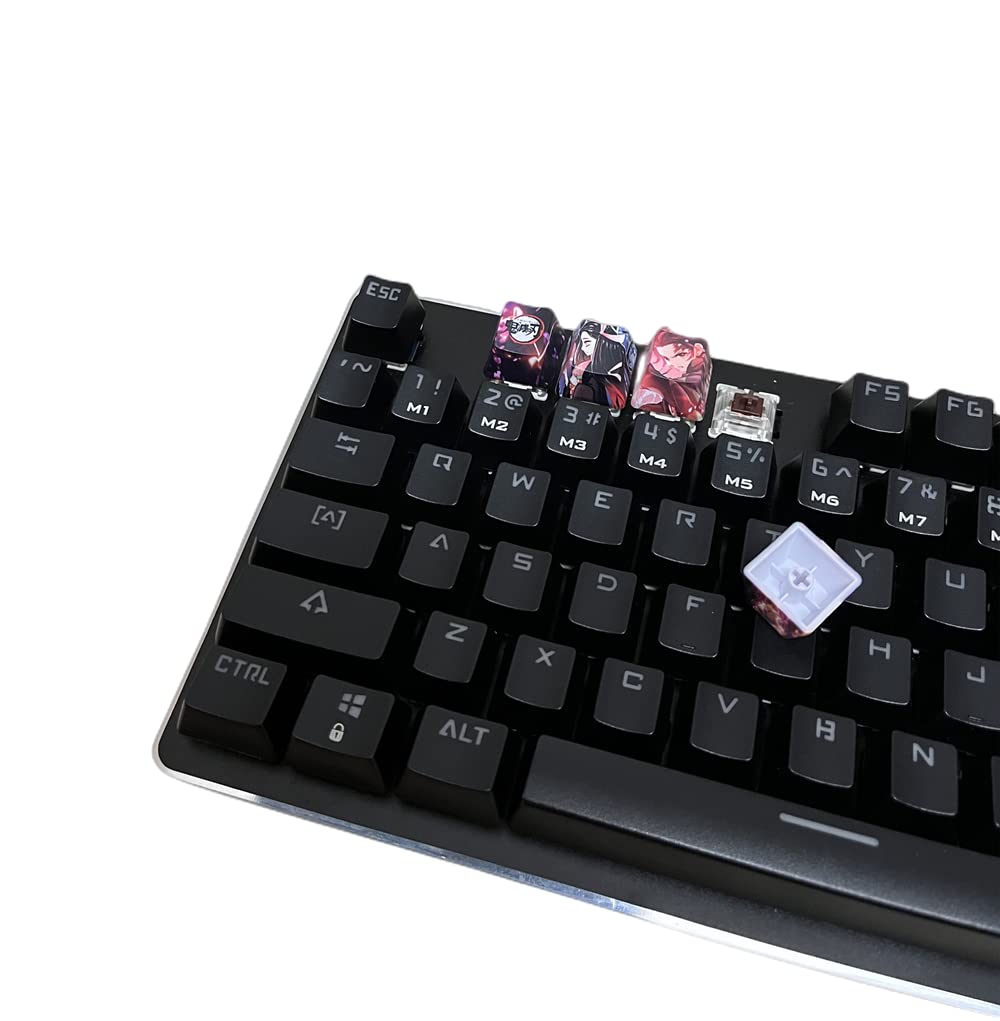 Mua 4 keycap Set, 5-Side Dye-subbed PBT Keycaps, R4 Keycaps, DIY OEM ...
