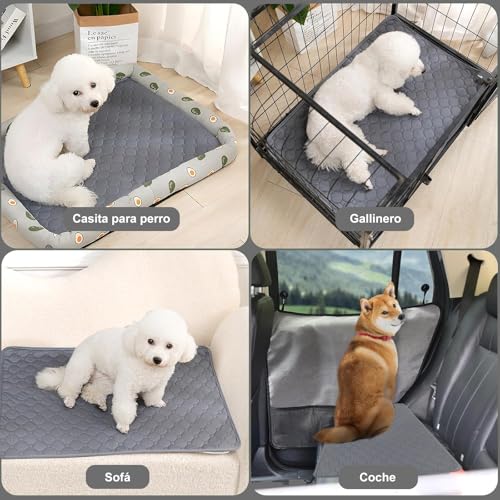 2 PCS Almohadillas Lavables para Perros, Impermeable Almohadilla de Entrenamiento,Tapetes Reutilizable de Entrenamiento para Perros, Almohadilla con Antideslizante Inferior para Perro Gatos (50X70CM)