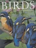 Paperback ENCYCLOPEDIA OF BIRDS, A COMPREHENSIVE ILLUSTRATED GUIDE BY INTERNATIONAL EXPERTS Book