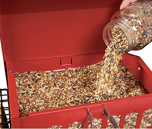 Audubon Seeds N More Metal Hopper Bird Feeder Model 7452r Buy