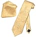 Vesuvio Napoli Gold Color PAISLEY NeckTie & Handkerchief Matching Neck Tie Set
