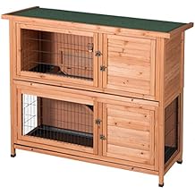 kaytee 2 story rabbit hutch