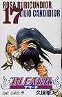 BLEACH -ブリーチ- 第17巻