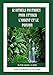 12 RITUELS PRATIQUES POUR ATTIRER L'ARGENT ET LE POUVOIR (French Edition) by ELPHE ANAEL ULISSE
