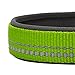 Blueberry Pet Soft & Safe 3M Reflective Neoprene Padded Adjustable Dog Collar - Green Flash, Large, Neck 18