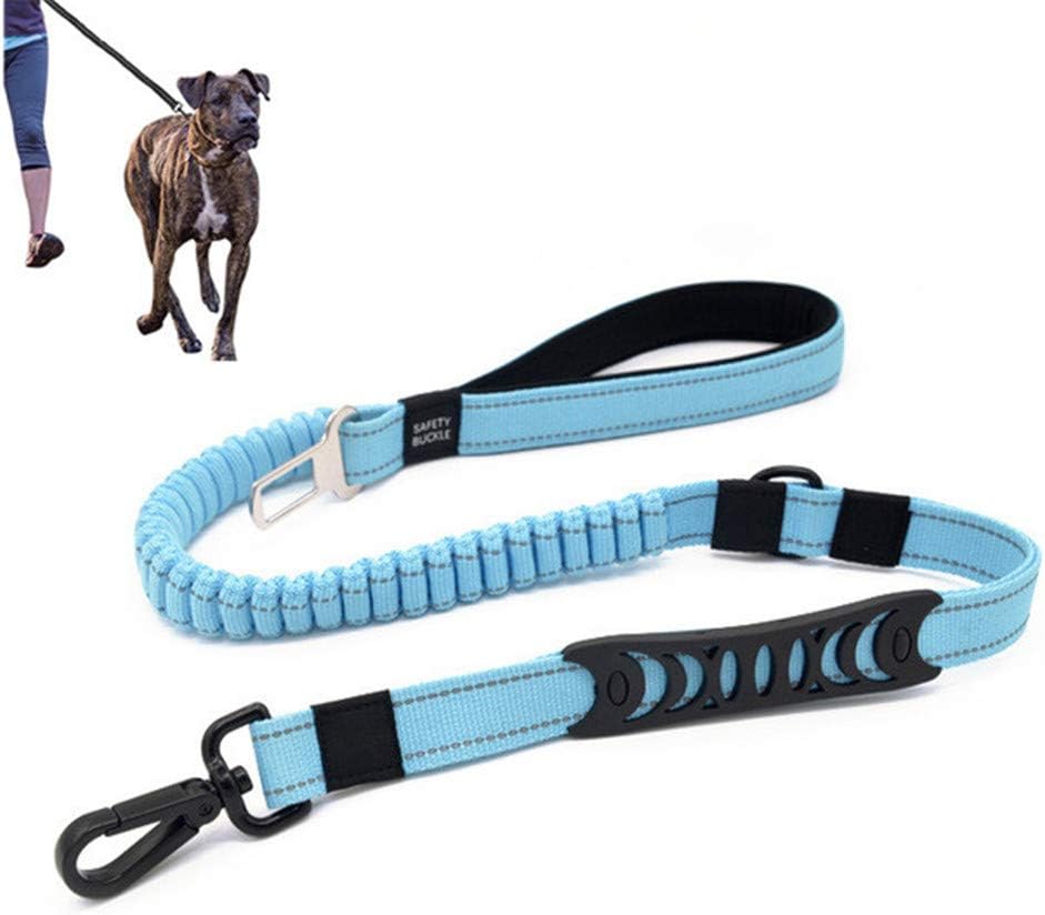 dog car lead