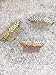 Aegenacess Wedding Hair Combs Decorative Leaf Leaves Bridal Hair Clip Laurel Greek Branch Boho Grecian Side Comb Accessories Headpieces for Brides and Bridesmaids Women Girls (Gold)