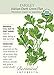 Italian Dark Green Flat Parsley Seeds - 1.5 g - Organic