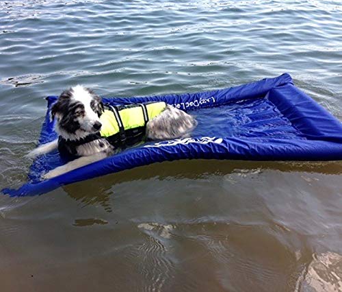 Lazy Dog Loungers Rafts for Dogs and Pets - Semi-Submersible to Keep Your Dog Cool - Lake, Pool, River and Boat (Fushia - Large)