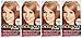 L’Oreal ParisExcellence Creme 8RB Medium Reddish Blonde (Warmer) 1 Each (Pack of 4)