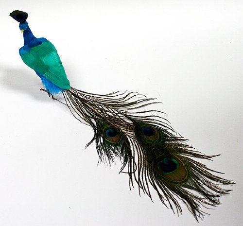 16" Artificial Closed Tail Feathered Peacock