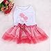 Outtop Pet Puppy Small Dog Cat Lace Skirt Princess Tutu Dress Clothes Costume (S)
