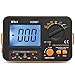 Flexzion Digital Insulation Resistance MegOhmmeter VICHY VC60B+ Tester MegOhm MegOhmmeter Voltmeter Meter DC 250V 500V 1000V with LCD Display 2 Clip Cables Shoulder Strap Battery Powered