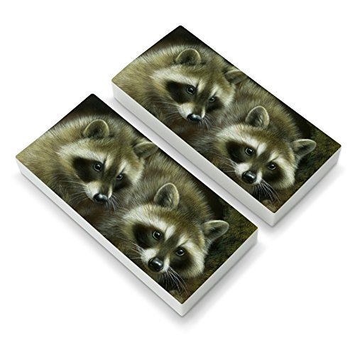 Cute Raccoons Curiosity Eraser Set of 2