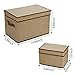 LightBiz Foldable Fabric Cloth Storage Cube Basket Bins Organizer with Lids, for Underwear, Socks, Bras, Tights, Leggings, 2 Pack, Khaki